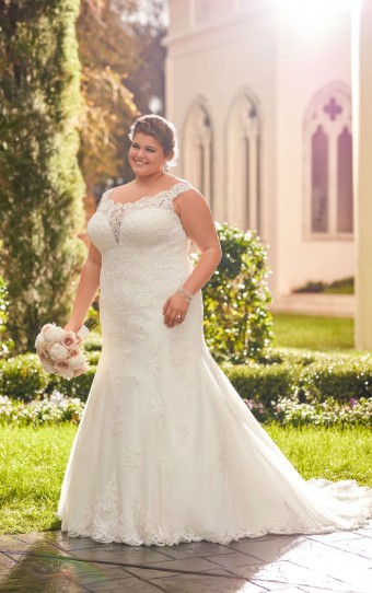 Stella York 6569 #0 default Ivory/Moscato thumbnail