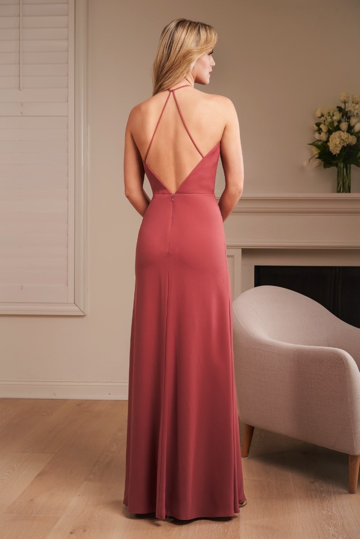 Jasmine B243067 #1 default Cinnamon Rose picture