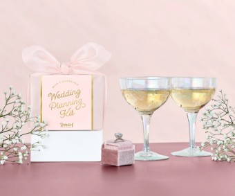 Faire Wedding Planning Kit - Pinch Provisions #0 default Blush thumbnail