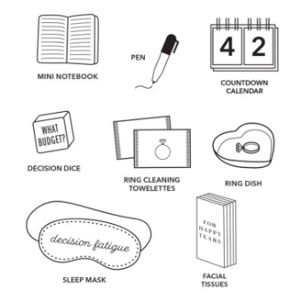 Faire Wedding Planning Kit - Pinch Provisions #3 default Blush thumbnail