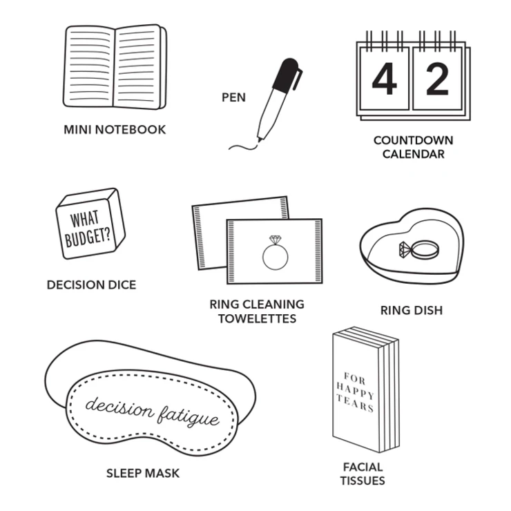 Faire Wedding Planning Kit - Pinch Provisions #3 default Blush picture