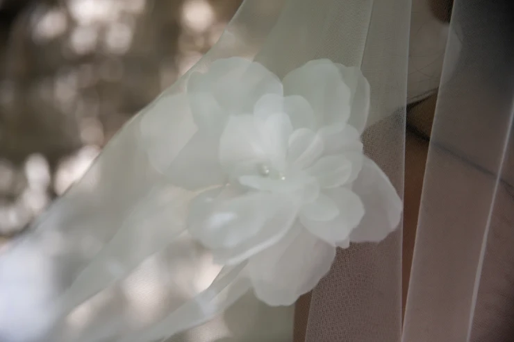 Heirloom Bridal Company VS25-015 - Heirloom Bridal Company #2 default Ivory picture