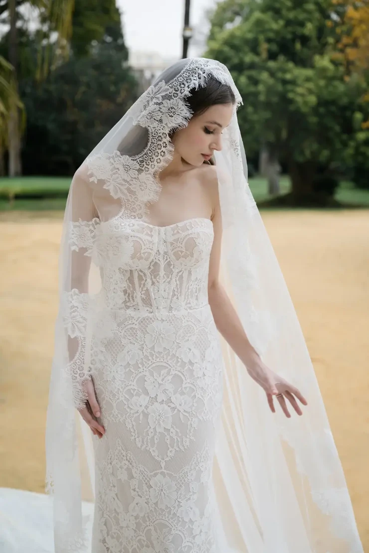 Abella Siebert Image