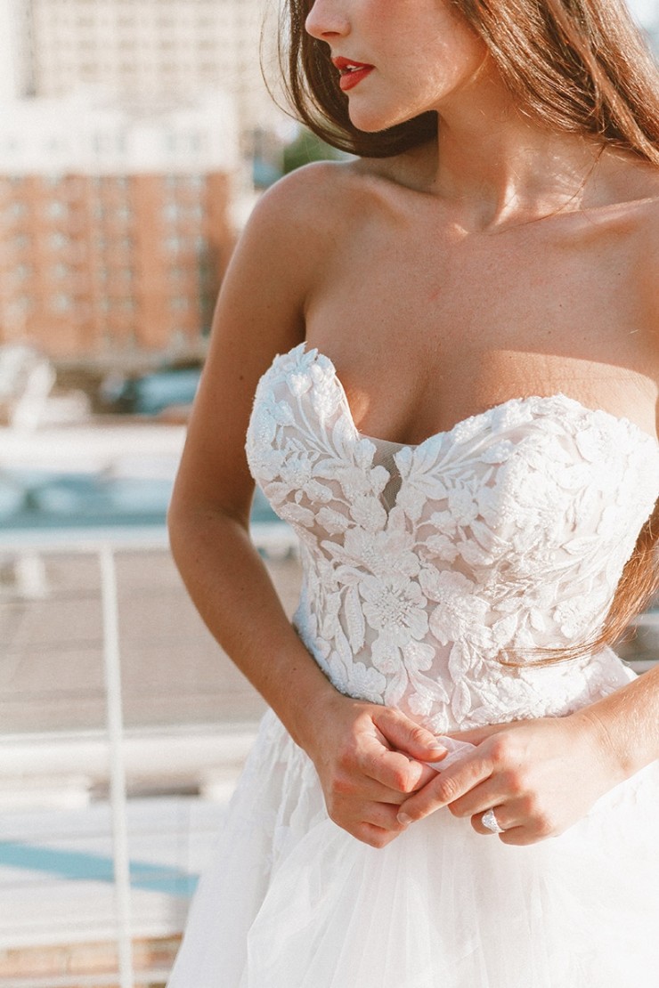 Stella York 7413 #2 default (IV-BC) Ivory Lace and Tulle over Biscotti Gown picture