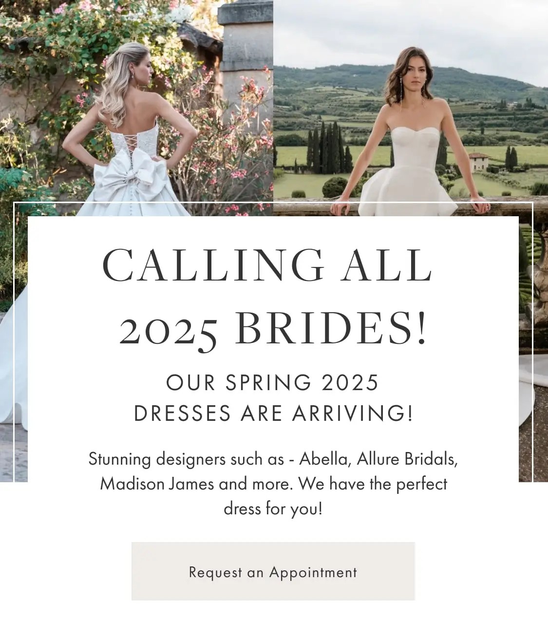 New Spring 2025 wedding dresses at Always Elegant Bridal - Yuba. Abella, Allure Bridals, Madison James and more